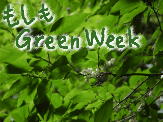 如果Green Week的封面